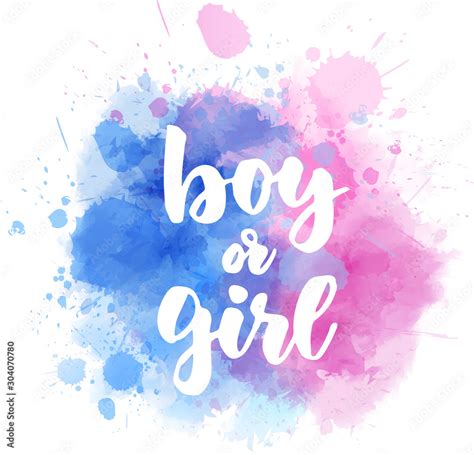 Boy or girl - gender reveal เวกเตอร์สต็อก | Adobe Stock