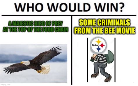 Steelers Meme