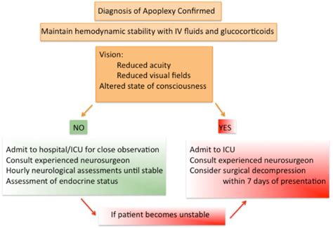 Pituitary Apoplexy - Endotext - NCBI Bookshelf