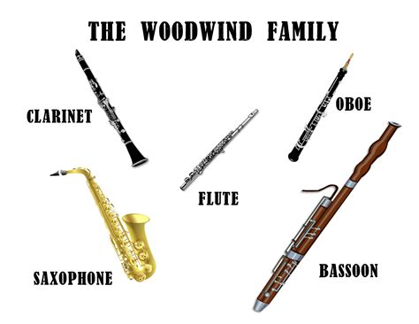 Musical Instrument Families | Instrument families, Woodwind, Woodwind instrument