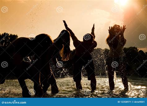 Carefree summer stock image. Image of group, couple, evening - 12358971