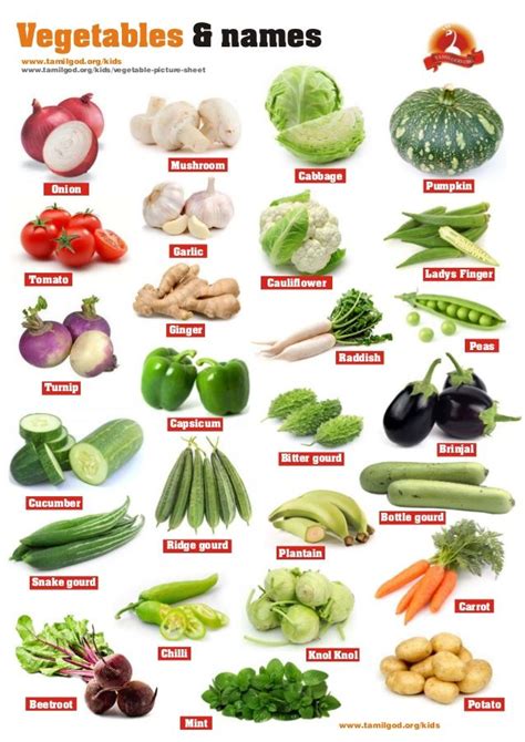 Vegetables and names | Vegetable pictures, Name of vegetables, List of ...