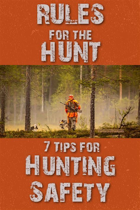 Rules for the Hunt: 7 Tips for Hunting Safety - The Organic Prepper