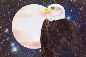 spiritual-meaning-of-an-eagle | Crystal Clear Intuition