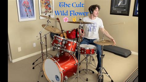 The Cult - Wild Flower (Drum Cover) - YouTube