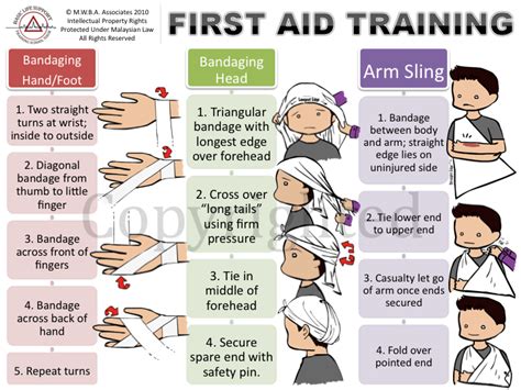 Basic Life Support Training School Tour: The Modules