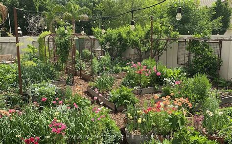 Spring Gardening in Arizona - Growing In The Garden