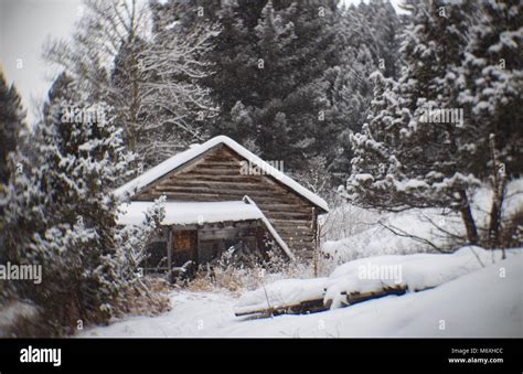 An abandoned log cabin in the ghost town of Tower, east of Philipsburg ...