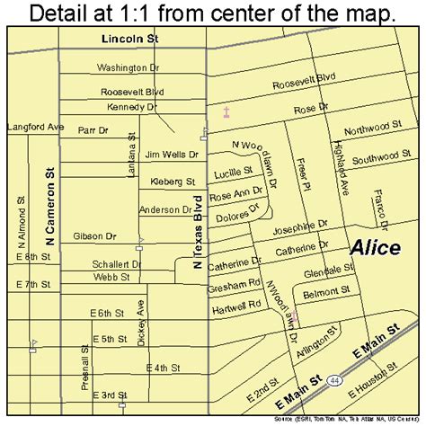 Alice Texas Street Map 4801852