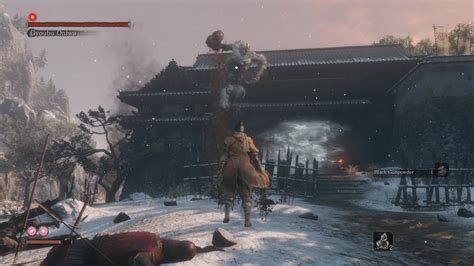 Sekiro Enemy and Item Randomizer at Sekiro: Shadows Die Twice Nexus - Mods and community