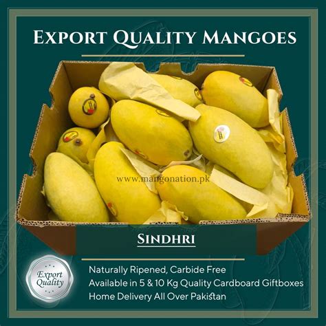 Saroli Mango Export Quality (100% Real) - Mangonation.pk