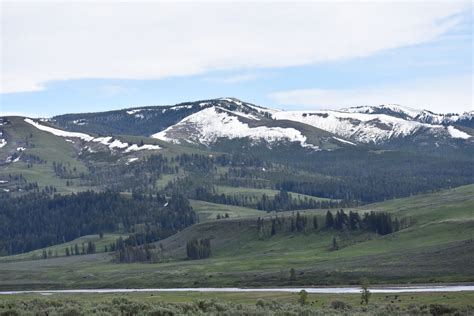 Things to do near Tower-Roosevelt | Yellowstone National Park