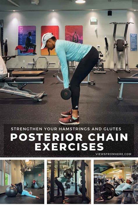 Posterior chain exercises: strengthen hamstrings and glutes • Views ...