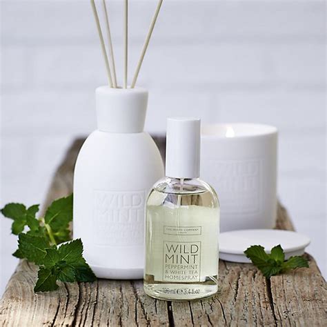 Best scented candles and diffusers for spring - Home fragrance - Good Housekeeping