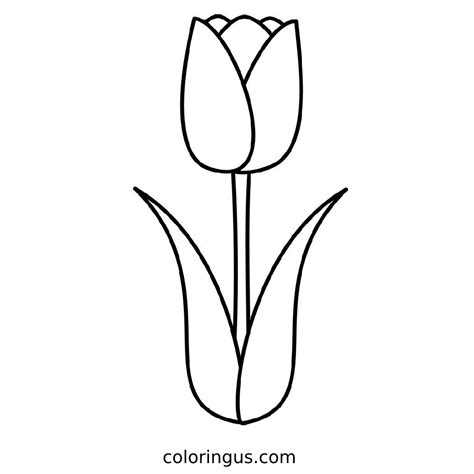 Tulip flower coloring pages - Coloringus