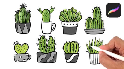 Easy Drawings Step By Step Cactus - Here presented 42+ cactus drawing easy images for free to ...