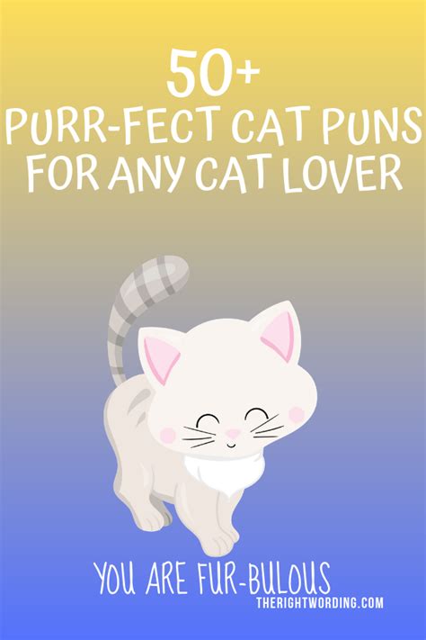 50+ Hiss-terically Purr-fect Cat Puns For Any Cat Lover