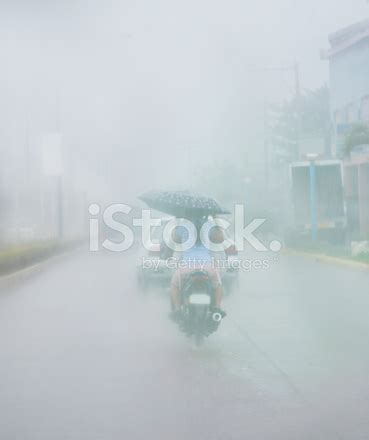 Torrential Rain Stock Photo | Royalty-Free | FreeImages