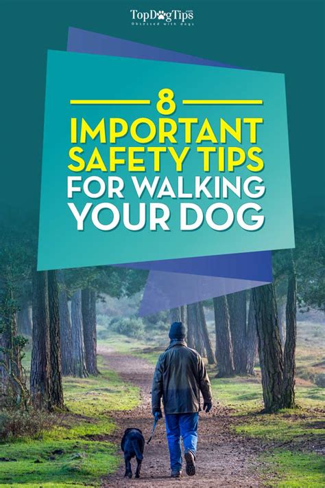 8 Tips for Walking Your Dog Safely Every Single Day – Top Dog Tips