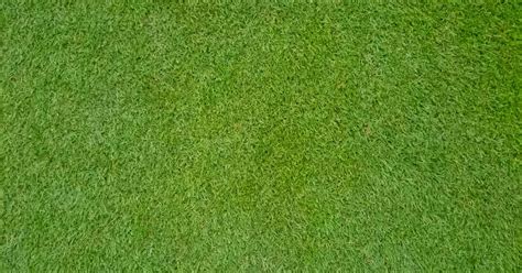 Bermuda Grass Sod - Lake Charles Sod - Sod Delivery In Lake Charles, La