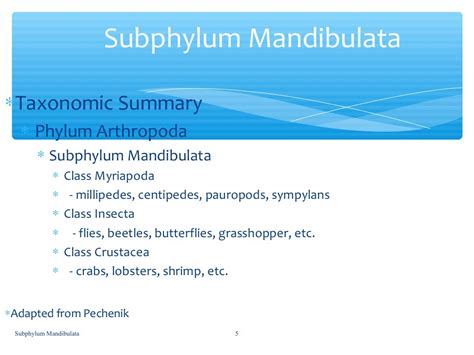 Subphylum mandibulata (By: J.Q)