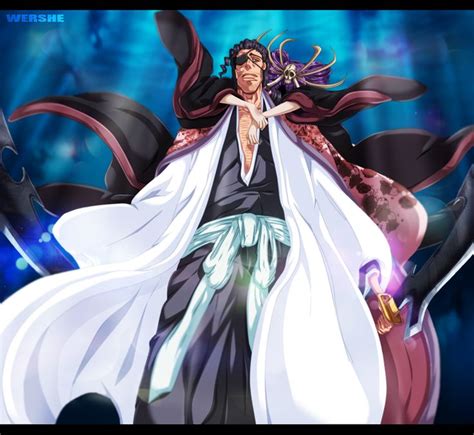 Bleach Shinsui Kyoraku Bankai Colo by WERSHE on DeviantArt | Bleach ...