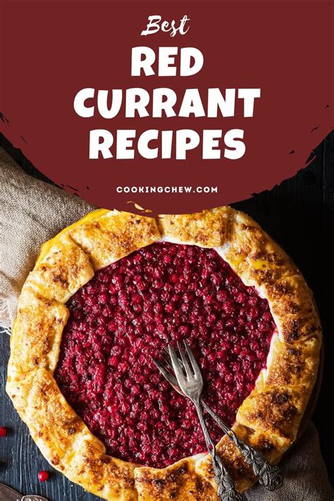 27 BEST Red Currant Recipes (Tasty Ways To Use Red Currants)