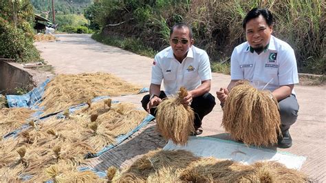 ARN Dorong ‘Pulu Mandoti’ Dongkrak Kesejahteraan Masyarakat Enrekang - Rakyat Sulsel