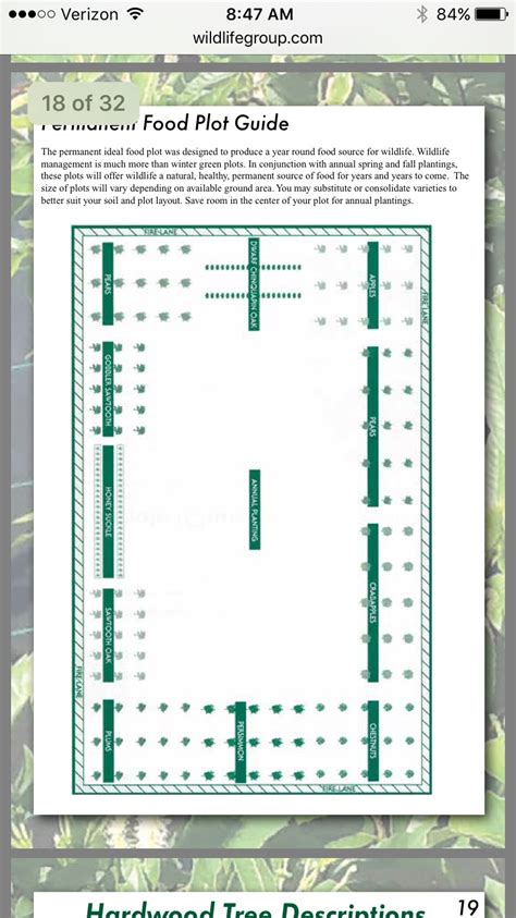 Tree spacing | All Things Habitat - Lets talk.....