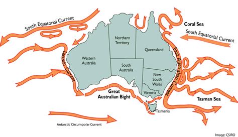 The Eastern Australian Current - All Australia