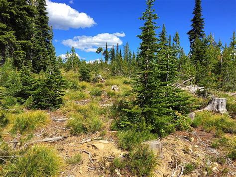 Bitterroot Mountains Archives - IDAHO: A Climbing Guide