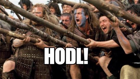 How the HODL Meme Reveals the Truth About Bitcoin – Fintechs.fi