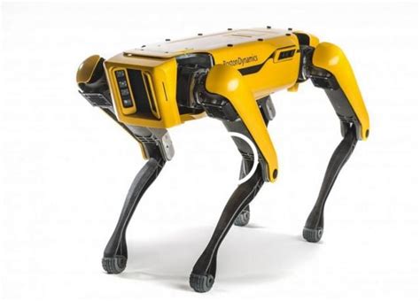 Spot- world's most advanced Robot Dog is now for sale | WordlessTech