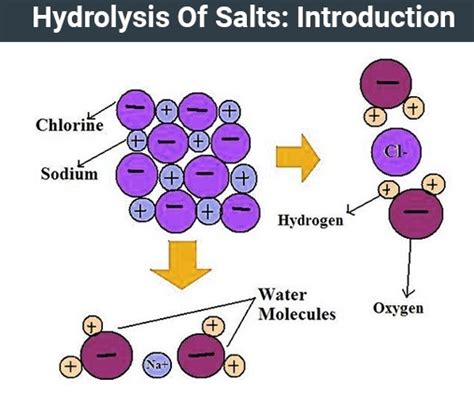 Hydrolysis Diagram