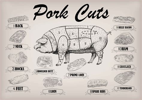 13+ Best Cuts of Pig to Make Your Meals Tastier