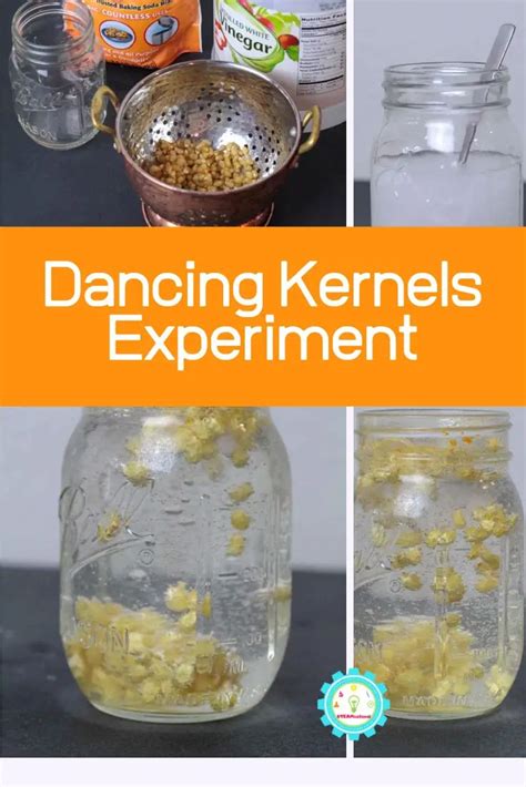 How to Do the Dancing Popcorn Experiment | Candy science experiments, Popcorn science project ...