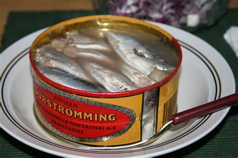 Supply of ‘smelly’ fermenting herring not meeting Swedish demand | Courthouse News Service