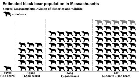 Terrierman's Daily Dose: Black Bear Populations Continue to Soar