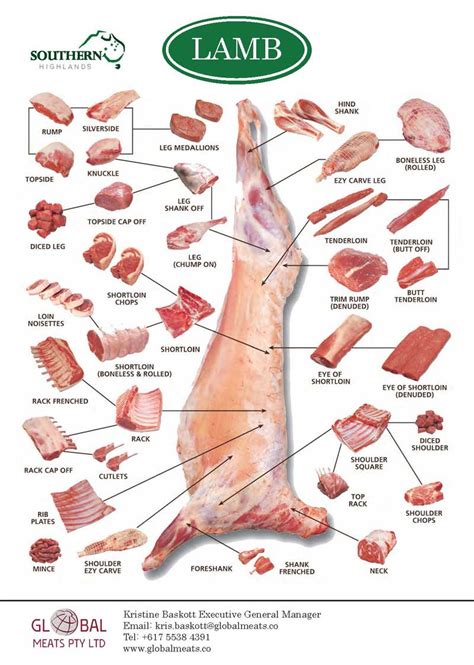 Diagram Of Lamb