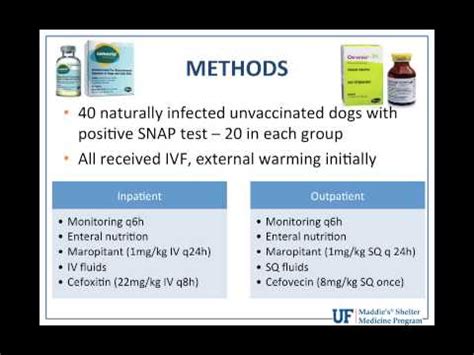 Vet to Vet: Evidence-Based Parvovirus Treatment - conference recording ...