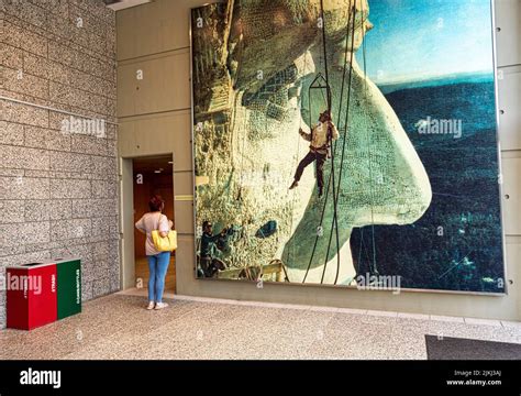 A back shot of a woman enjoys one of the many displays at the Mount ...