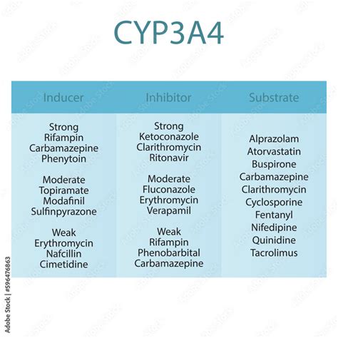 Cytochrome CYP3A4 table of strong, moderate and weak inhibitors ...