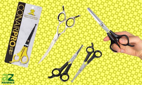 The Best Dog Grooming Shears — Reviewed and Ranked - A-Z Animals