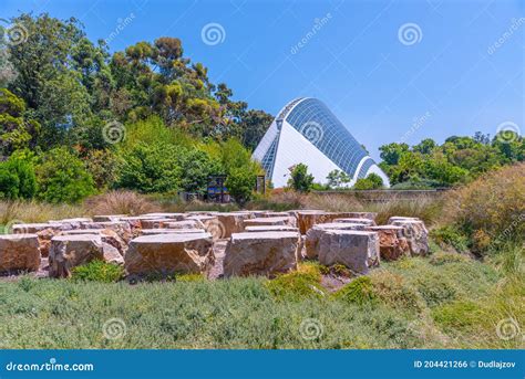 Bicentennial Conservatory at Botanic Garden in Adelaide, Australia ...