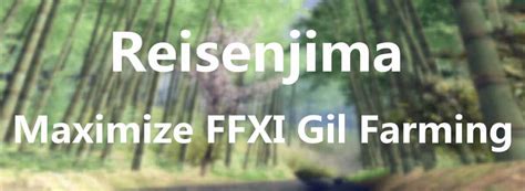 Some Tips on How to Maximize Your FFXI Gil Farming in Reisenjima