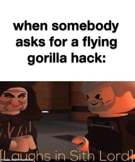 flying gorilla : r/memes