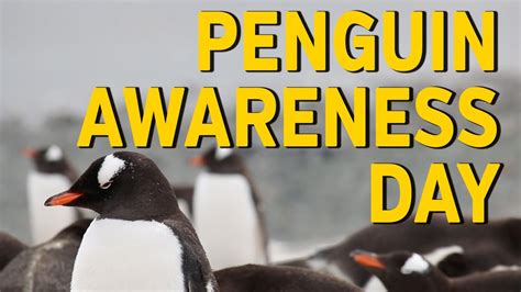 National Penguin Awareness Day! - YouTube