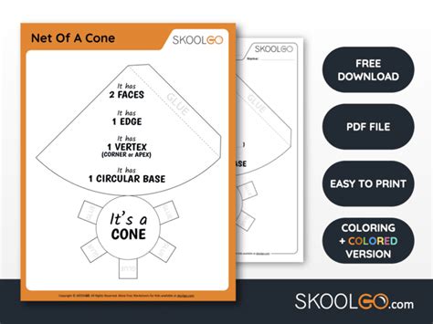 Net Of A Cone - Free Worksheet - SKOOLGO