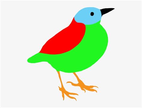 Colorful Drawings Of Birds - Colorful Birds In Art Clip - Free ...