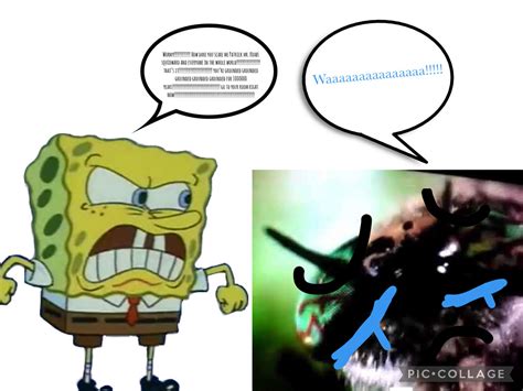 Wormy Gets Grounded By Spongebob by erick2k21 on DeviantArt